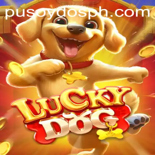 Exploring LuckyDog: A Fresh Take on Pusoy Dos